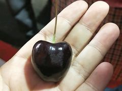 -江杨农产品批发市场