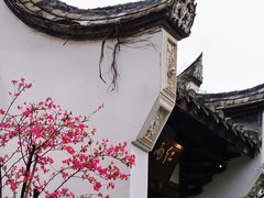-乌山风景区
