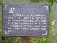 android_upload_pic-溱湖国家湿地公园