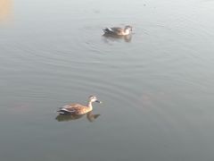 -前关湿地公园
