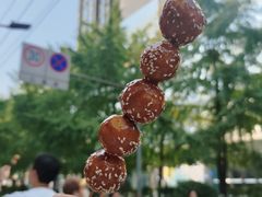 -邓记新一代糖油果子(四川煤管局供销公司职工宿舍店)