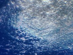 -泉城欧乐堡海洋极地世界