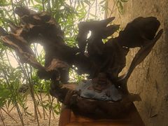 -新紫霞养生·影院足道·SPA(金山区店)