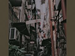 -循礼门鲜花花市(武汉循礼门店)