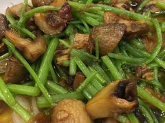 茼蒿口蘑-渭塘酒家(生态园店)