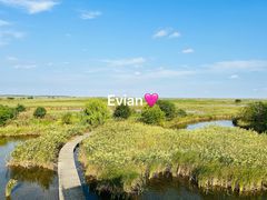 -盐城丹顶鹤湿地生态旅游区