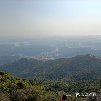 从二号线到六号线，从海山到大浪