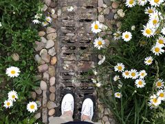 -江苏省苏州实验中学