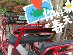 -上海海湾国家森林公园