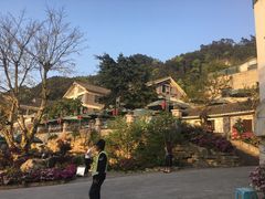 -老幺泉水鸡