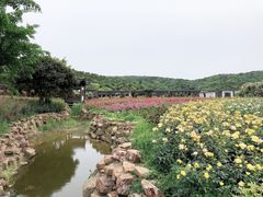 -龙寺生态园