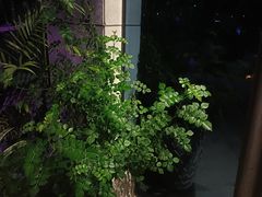 -心足私家足疗SPA(深圳湾店)