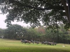 -广州雕塑公园