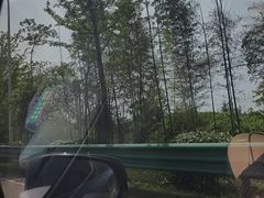 -羊楼洞