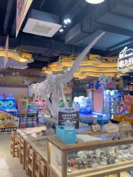 -卡通尼·Safari非洲探索乐园·生日会(金桥国际商业广场店)