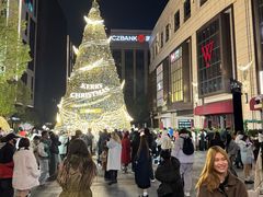 -杭州城中香格里拉大酒店