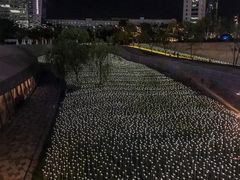 -东大门市场