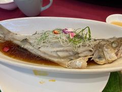 -十八棵（老龙井）御茶园(老龙井店)