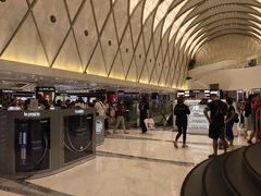 -乐天免税店(明洞店)