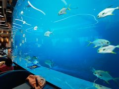 -瑞德姆美人鱼海底演艺主题餐厅(亚龙湾店)