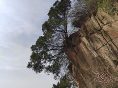 -少华山国家森林公园