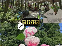-老鼎万春卤菜(五代传承创始老店)