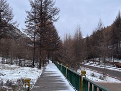 -苏木山森林公园