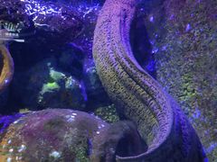 -太平洋海底世界