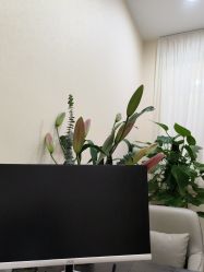 -北京炫美医疗美容