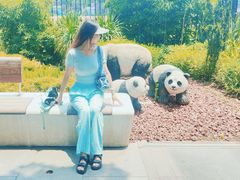 -四川大学(华西校区)