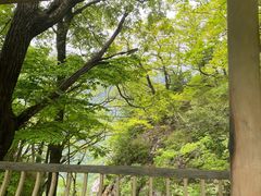 -牛背梁国家森林公园