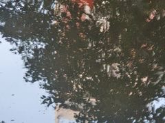 -世纪同乐绿地世纪城二期