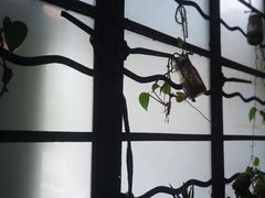 -下面馆