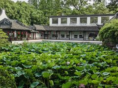 -上海醉白池公园
