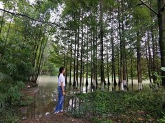 -桤木河湿地公园