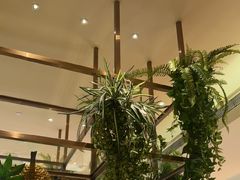 -冀粤香海鲜自助餐厅(西美五洲店)