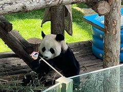 -大连森林动物园