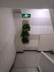 -伊人美容SPA养生馆