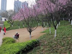 -重庆彩云湖湿地公园