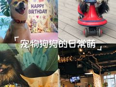 -百好乐宠物友好餐厅(朝外大街店)