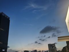 -百果园PAGODA(新圳西路店)