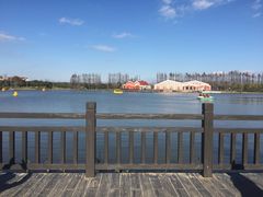 -上海长兴岛郊野公园