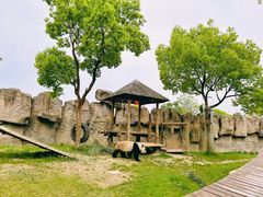 -上海野生动物园