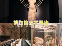 -四川大学博物馆
