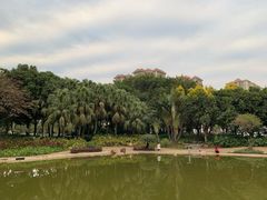-黄埔荔枝公园