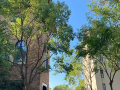 -上海崇明金茂凯悦酒店