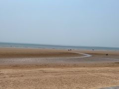 -日照海滨国家森林公园
