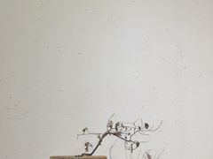 -柴务处·柴犬主题狗咖