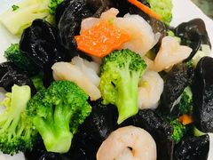 -红星渔村(东北大街店)