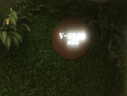 -V-STAR威斯达•高级私人定制